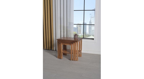 ASLAN AYAK ZİGON SEHPA